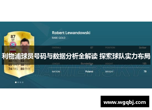 利物浦球员号码与数据分析全解读 探索球队实力布局