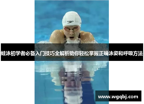 蛙泳初学者必备入门技巧全解析助你轻松掌握正确泳姿和呼吸方法