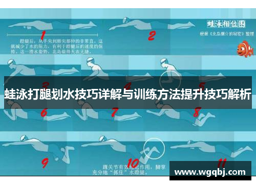 蛙泳打腿划水技巧详解与训练方法提升技巧解析