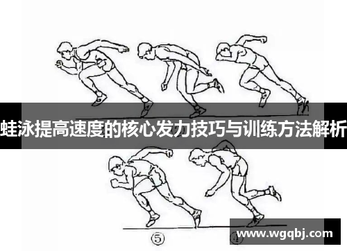 蛙泳提高速度的核心发力技巧与训练方法解析
