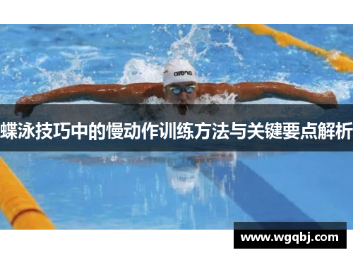 蝶泳技巧中的慢动作训练方法与关键要点解析