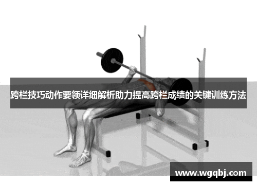 跨栏技巧动作要领详细解析助力提高跨栏成绩的关键训练方法
